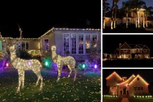 Popular holiday lighting designs in East Bay homes including roofline, trees, and landscape lighting